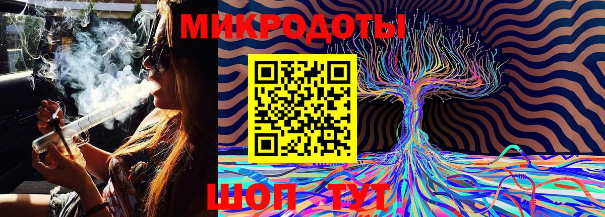 Галлюциногенные грибы Psilocybe  купить закладку  Реж  Вход с VPN 
