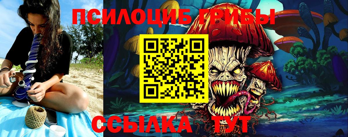 Псилоцибиновые грибы Cubensis Реж